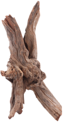 sera Drift wood